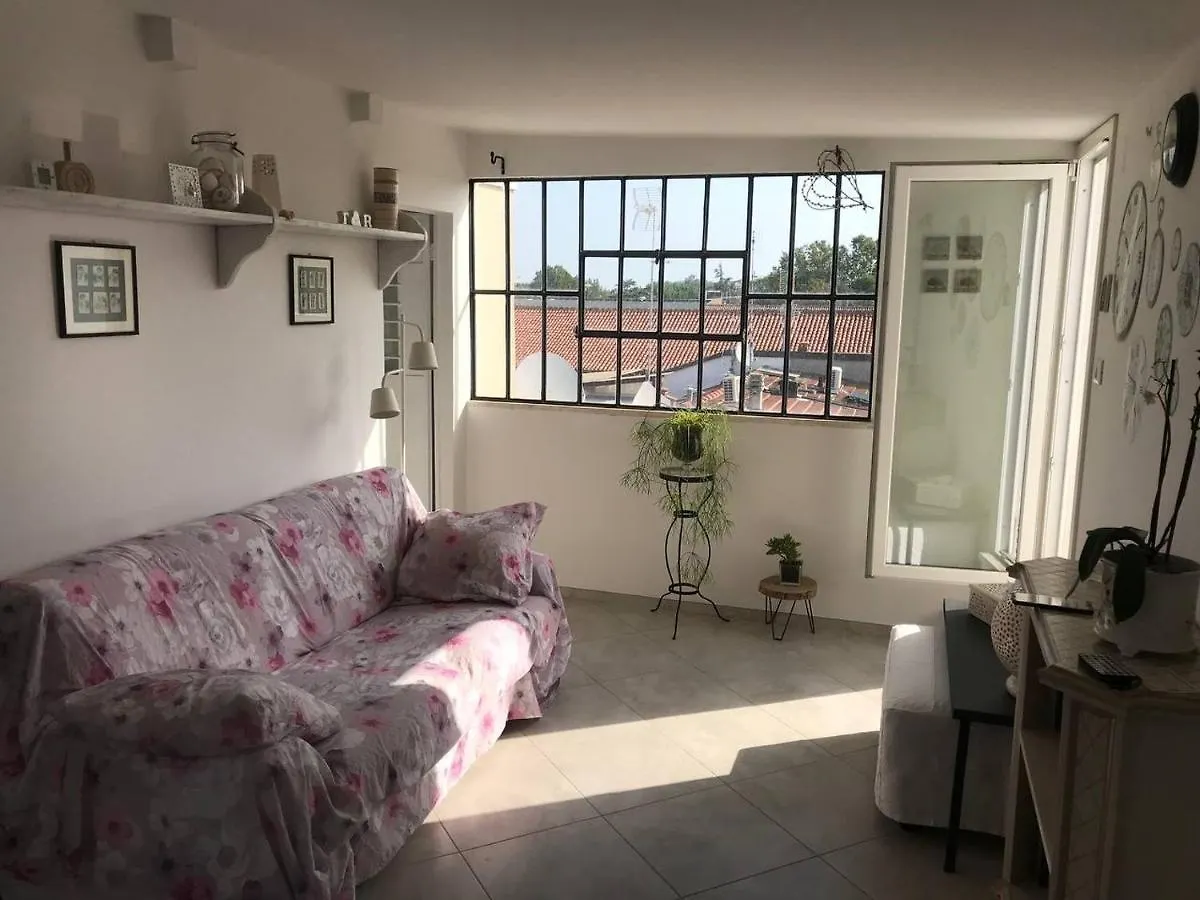 Bed & Breakfast B&B Rooftop51 Rimini